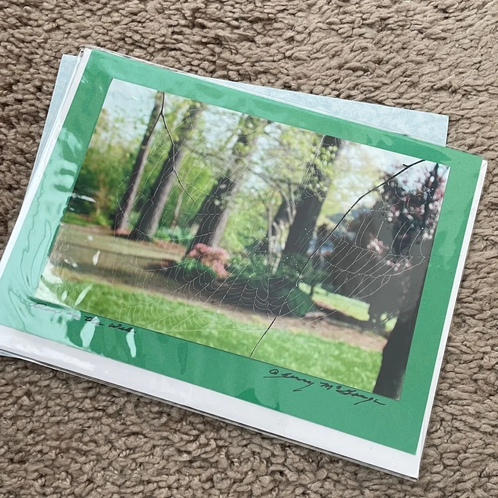 19 Handmade Nature Blank Cards‎